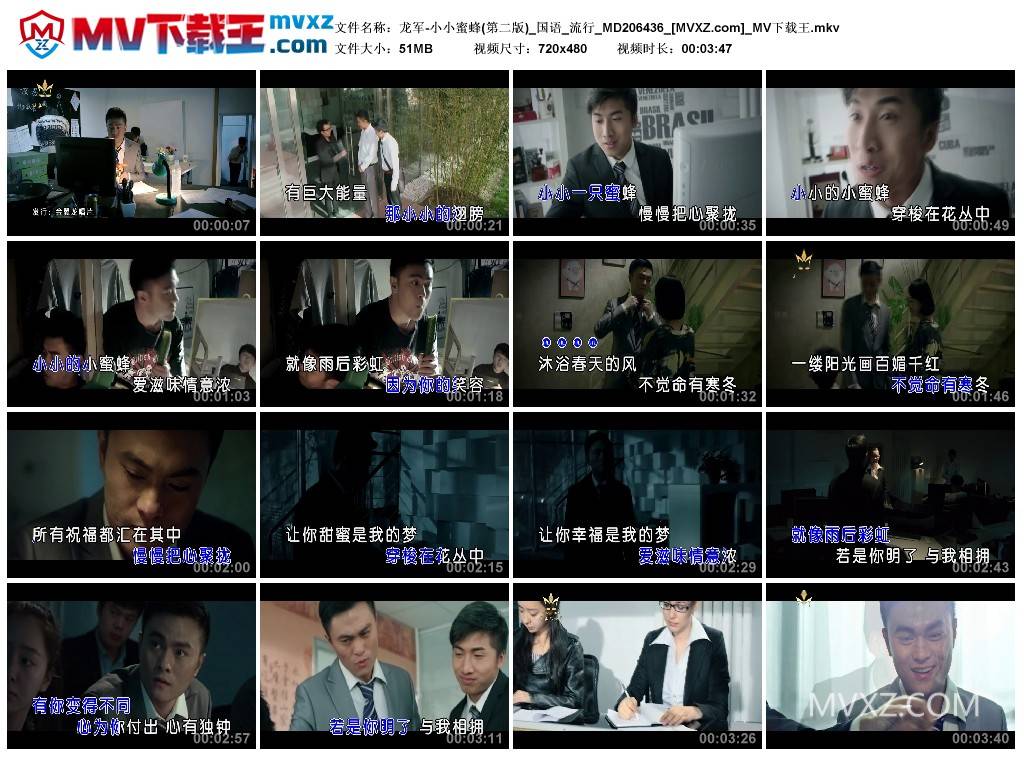 龙军-小小蜜蜂(第二版)_国语_流行_MD206436